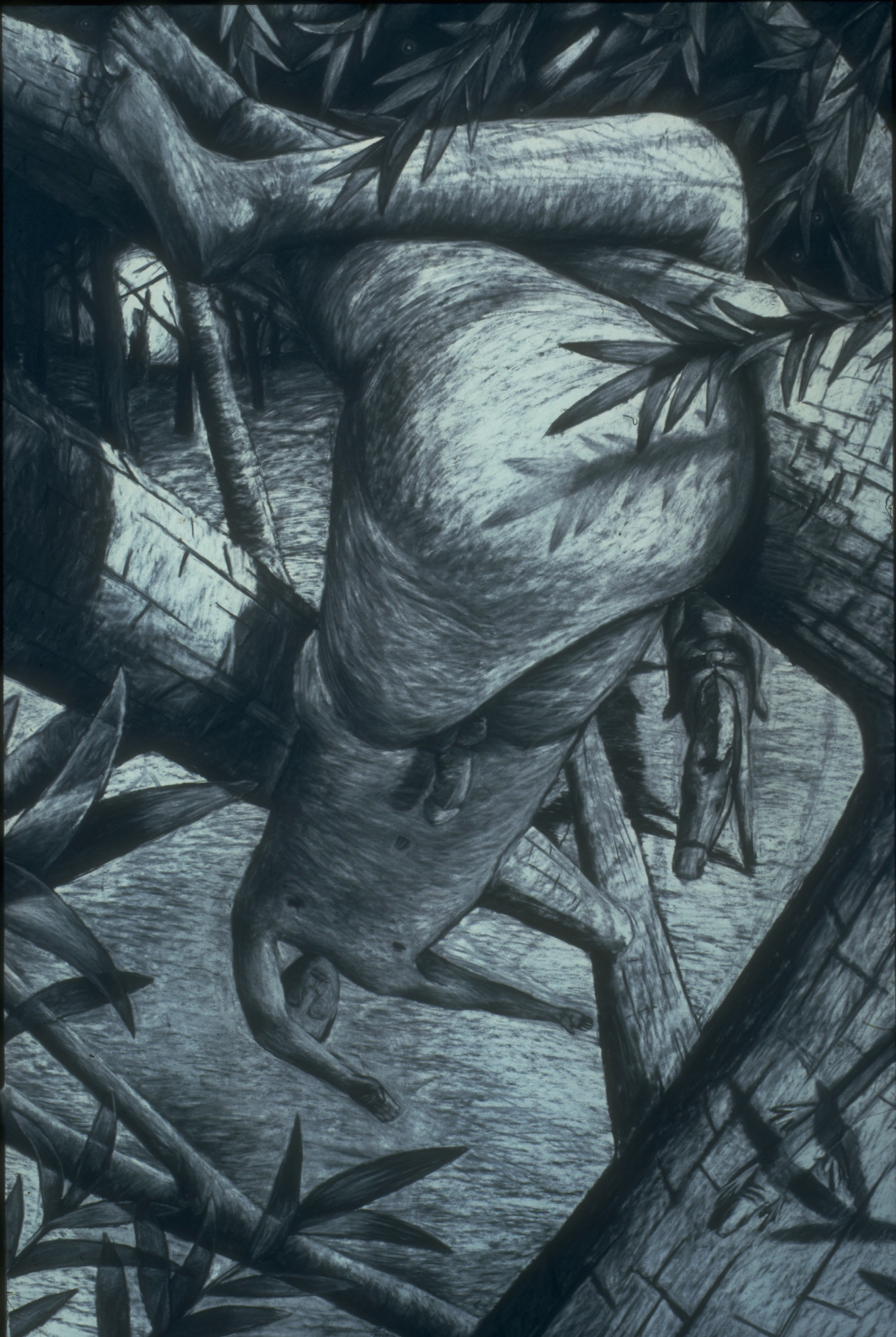 dangling, charcoal on paper, 1986
